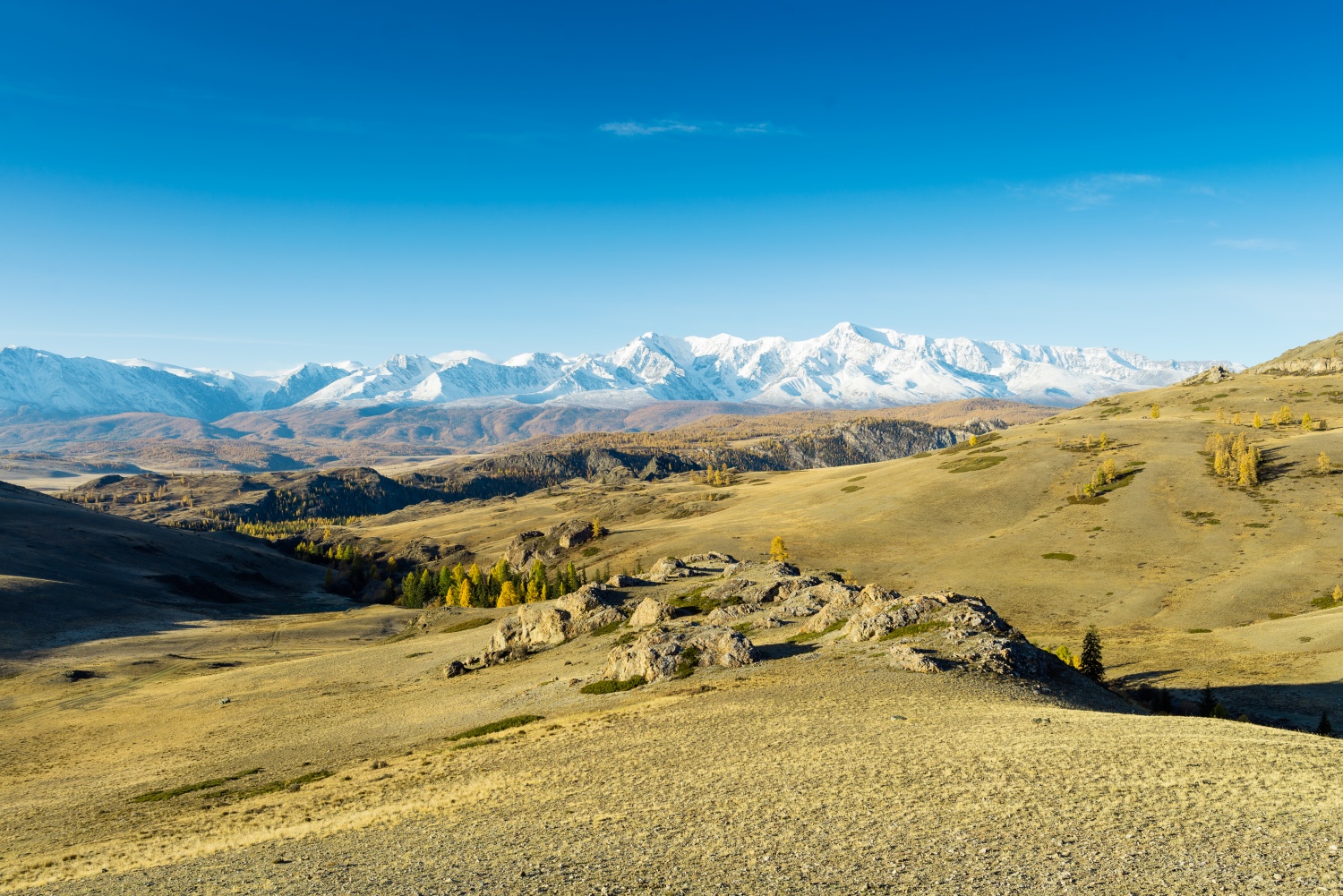 Чуйская степь . Оформить путёвку на сайте Altai Travel Guide