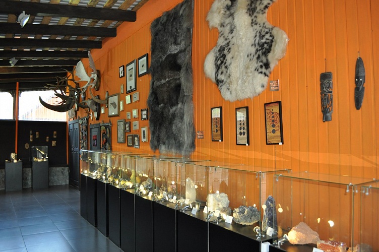 Музей естественной истории Палеопарк